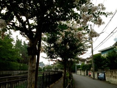 �摜(240x180)�E�g��摜(480x360)