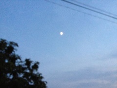 �摜(240x180)�E�g��摜(480x360)