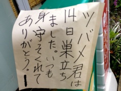 �摜(240x180)�E�g��摜(640x480)