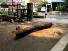 �摜(240x180)�E�g��摜(480x360)