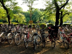 �摜(240x180)�E�g��摜(480x360)