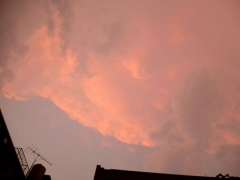 �摜(240x180)�E�g��摜(480x360)