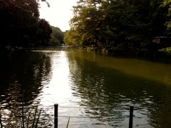 �摜(240x180)�E�g��摜(480x360)