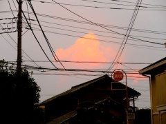 �摜(240x180)�E�g��摜(480x360)