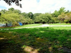 �摜(240x180)�E�g��摜(480x360)