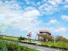 �摜(240x180)�E�g��摜(480x360)