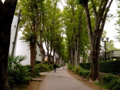 �摜(240x180)�E�g��摜(480x360)