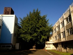 �摜(240x180)�E�g��摜(480x360)