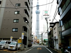 �摜(240x180)�E�g��摜(480x360)