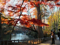 �摜(240x180)�E�g��摜(480x360)