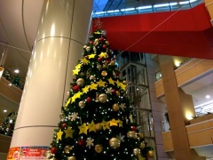 �摜(240x180)�E�g��摜(480x360)