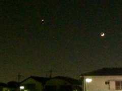 �摜(240x180)�E�g��摜(480x360)