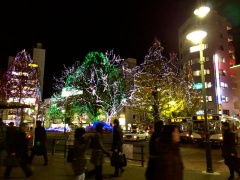 �摜(240x180)�E�g��摜(480x360)