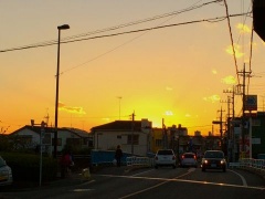 �摜(240x180)�E�g��摜(480x360)