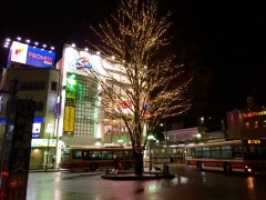 �摜(240x180)�E�g��摜(480x360)