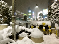 �摜(240x180)�E�g��摜(480x360)