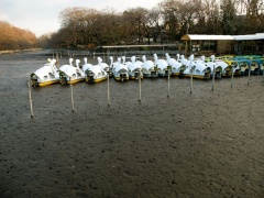 �摜(240x180)�E�g��摜(480x360)