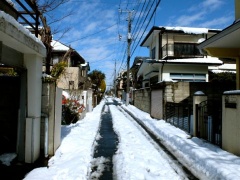 �摜(240x180)�E�g��摜(480x360)