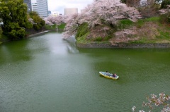 �摜(240x159)�E�g��摜(640x425)