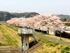 �摜(240x180)�E�g��摜(640x480)