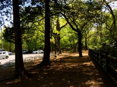 �摜(240x180)�E�g��摜(640x480)