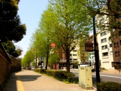 �摜(240x180)�E�g��摜(640x480)