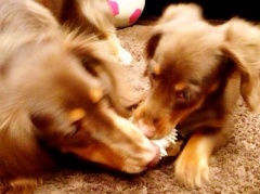 �摜(240x179)�E�g��摜(640x479)