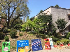 �摜(240x180)�E�g��摜(640x480)