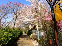 �摜(240x180)�E�g��摜(640x480)