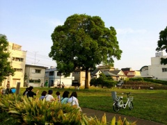 �摜(240x180)�E�g��摜(640x480)