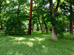 �摜(240x180)�E�g��摜(640x480)