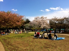 �摜(240x180)�E�g��摜(640x480)