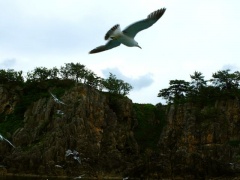 �摜(240x180)�E�g��摜(640x480)