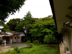 �摜(240x180)�E�g��摜(640x480)