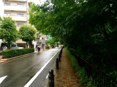 �摜(240x180)�E�g��摜(640x480)