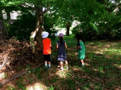 �摜(240x180)�E�g��摜(640x480)