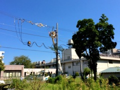 �摜(240x180)�E�g��摜(640x480)