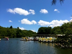 �摜(240x180)�E�g��摜(640x480)