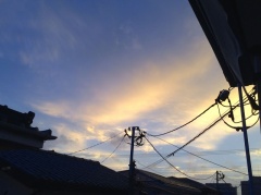 �摜(240x179)�E�g��摜(640x479)