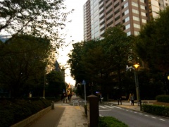 �摜(240x180)�E�g��摜(640x480)