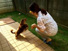 �摜(240x180)�E�g��摜(640x480)