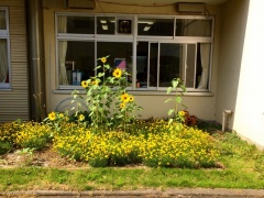 �摜(240x180)�E�g��摜(640x480)