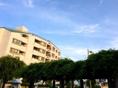 �摜(240x180)�E�g��摜(640x480)