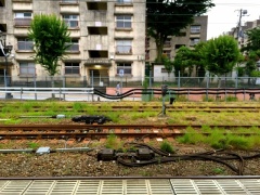 �摜(240x180)�E�g��摜(640x480)