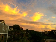 �摜(240x180)�E�g��摜(640x480)