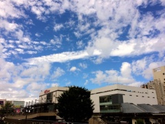 �摜(240x180)�E�g��摜(640x480)